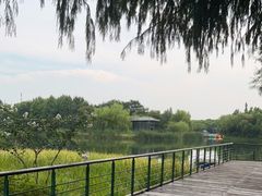 -尚贤河湿地