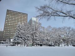 -大通公园