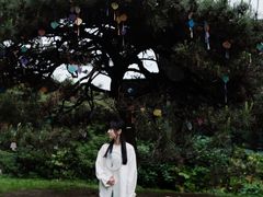 -同里国家湿地公园