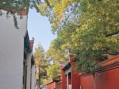 -南岳衡山风景名胜区-南岳大庙