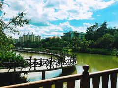 -西双版纳勐泐文化旅游区