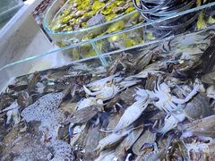 -聚盛源蒸汽海鲜火锅烤肉自助(巨川金海岸购物广场店)