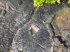 -夏威夷火山国家公园