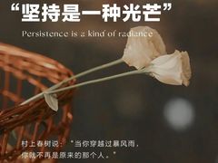 -曼朗心理咨询·旗舰店