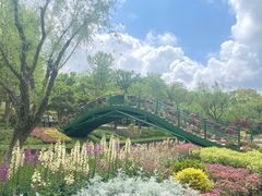 -上海鲜花港