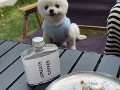 -J Create城市露营咖啡·简餐·宠物(上海动物园店)