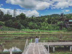 -Chom Cafe and Restaurant