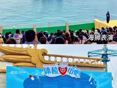 -秦皇岛乐岛海洋王国