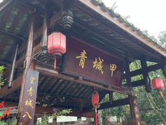 -青城甲(青城山店)