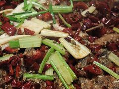 -老板恋上鱼(恒隆广场店)