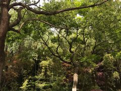 -花溪公园
