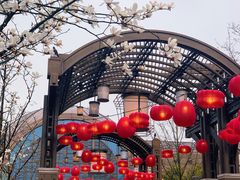 -lululemon(比斯特购物村店)