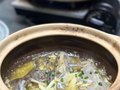 啫啫鸦片鱼头-金龙·打边炉(南京西路店)