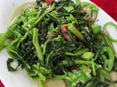 -蛇口康乐快餐鱼仔档(翠苑小区店)