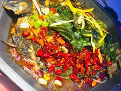 -马邦子·紫苏烤鱼(恒隆广场店)