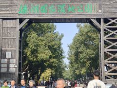 -溱湖国家湿地公园