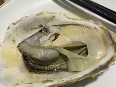 -海大大蒸汽海鲜餐厅·粤菜·特色小炒(欢乐颂店)