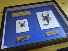 -上海昆虫博物馆
