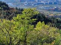 -北京十三陵国家森林公园蟒山景区