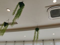 -亚特兰蒂斯-番红花海鲜自助餐厅·鲜活海鲜·小火锅