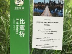 -桤木河湿地公园