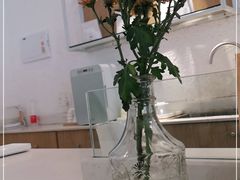 -Cafe on warm(丹霞店)