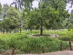 -国家植物园南园