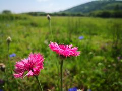 -坝上草原大汗行宫旅游景区