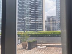 -凤凰湘语(浦东旗舰店)