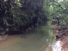 -怀托摩萤火虫洞