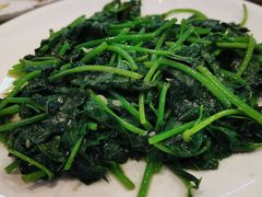 炒地瓜叶-友强·23年特色海鲜大排档(厦门店)