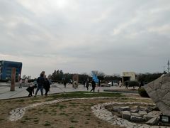 -南汇嘴观海公园