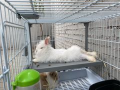 -小意思咖啡店(草桥店)