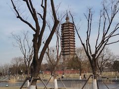 -西海子公园