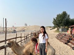 -库伦旗银沙湾旅游景区