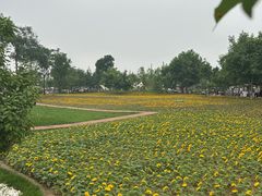 -辛庄国际文化艺术区