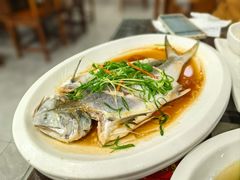 -长平肥姐白粥·海鲜打冷