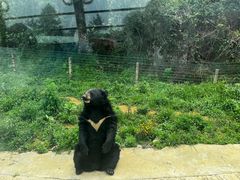-贵州森林野生动物园