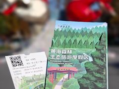 -黄海国家森林公园