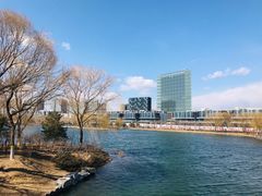 -大兴滨河森林公园