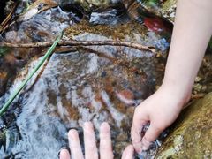 -桂山风景旅游区