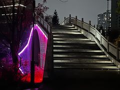 -映月湖公园