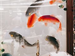 -颂福楼·南京菜(定淮门店)