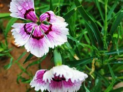 -回龙观体育文化公园