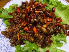 -煎饼卷大葱(春秋西路店)
