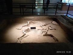 -洛阳周王城天子驾六博物馆