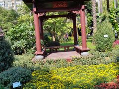 -广州文化公园