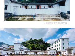 -广州市流溪河国家森林公园