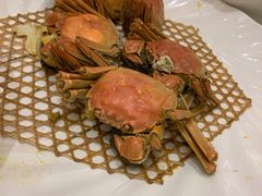 -慈溪白金汉爵大酒店