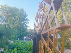 -万源龙顺度假庄园生态观光园